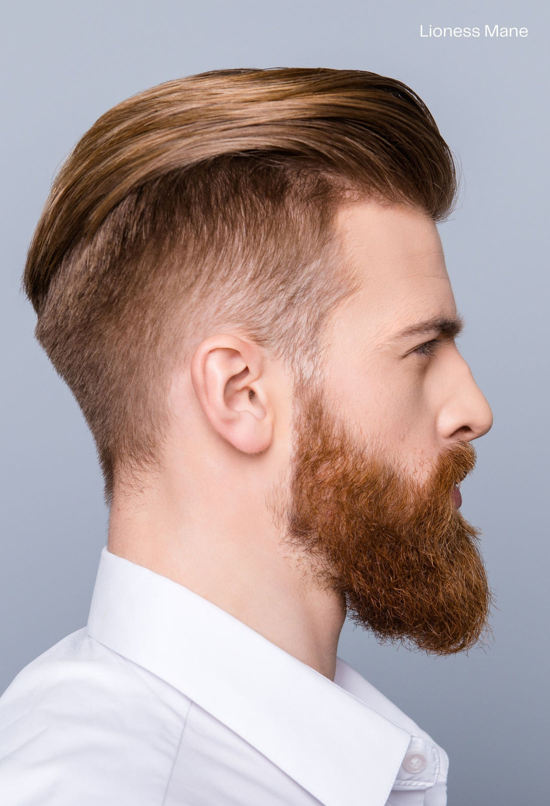 Shavers & Razors: Precision Tools for Your Best Look