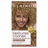 Textures & Tones 6G [Honey Blonde] by Textures & Tones