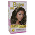 Bigen Easy Color For Women 2N Deep Espresso Kit by Bigen