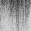 Queen B Pre-Stretched Braiding Hair - Single Pack by Queen B