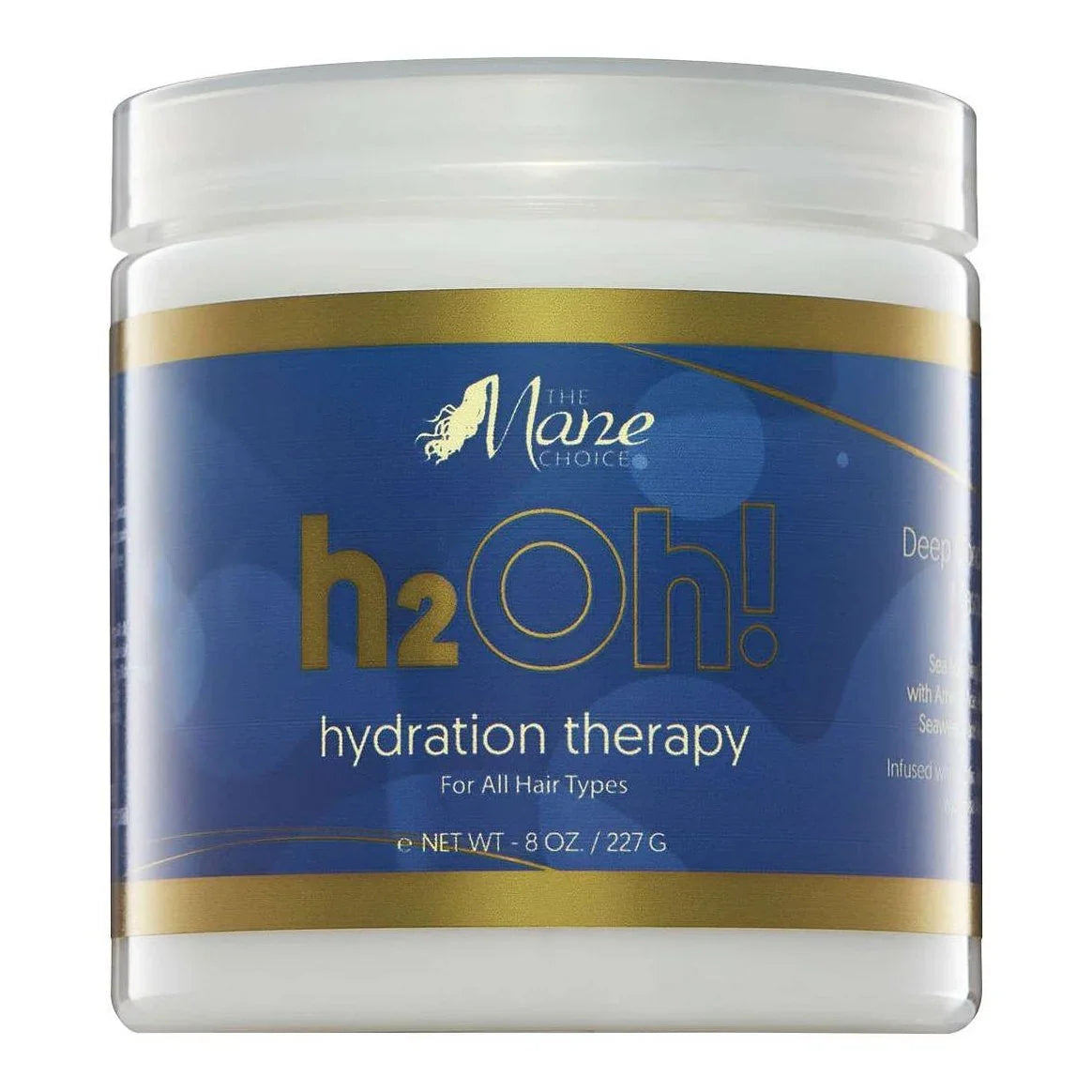 Mane Choice H2Oh Hydration Therapy Hair Masque by THE MANE CHOICE