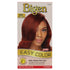 Easy Color For Women 4Rc Cinnamon Spice by BIGEN